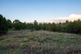TBD Pronghorn Lane - Photo 14