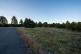 TBD Pronghorn Lane - Photo 15