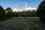TBD Pronghorn Lane - Photo 16