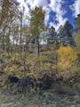 TBD Aspen Drive - Photo 1