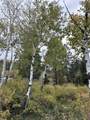 TBD Aspen Drive - Photo 11