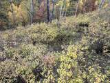 TBD Aspen Drive - Photo 6