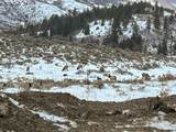 TBD Hwy-50 - Photo 11