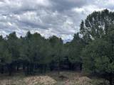TBD Canyon Drive - Photo 4