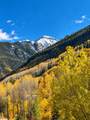 747 Pacific Avenue - Photo 11