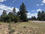 1960 Marmot Drive - Photo 15