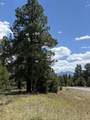 1960 Marmot Drive - Photo 16