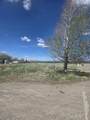 1130 Forest Street - Photo 8