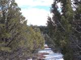 tbd Lot19 Road - Photo 11
