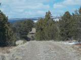 tbd Lot19 Road - Photo 5