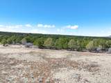TBD Alpenview Meadows Drive - Photo 10