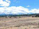 TBD Alpenview Meadows Drive - Photo 15