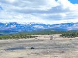 TBD Alpenview Meadows Drive - Photo 25