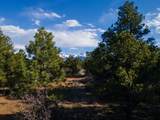 Lot 555 Badger Trail - Photo 3