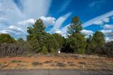 Lot 555 Badger Trail - Photo 5
