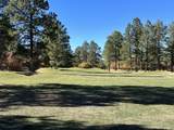 110 Puma Lane - Photo 11