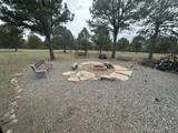 5100 Ponderosa Drive - Photo 31
