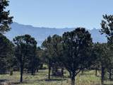 175 Pinon Road - Photo 10