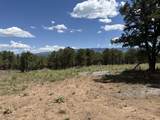 175 Pinon Road - Photo 4