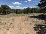 175 Pinon Road - Photo 5