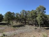 175 Pinon Road - Photo 8