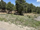 175 Pinon Road - Photo 9
