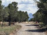 TBD Ponderosa Dr - Photo 13
