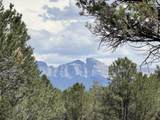 TBD Ponderosa Dr - Photo 14