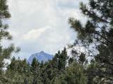 TBD Ponderosa Dr - Photo 15