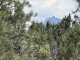 TBD Ponderosa Dr - Photo 16