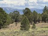 TBD Ponderosa Dr - Photo 17