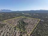 TBD Ponderosa Dr - Photo 4