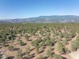 TBD Ponderosa Dr - Photo 8