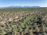 TBD Ponderosa Dr - Photo 9