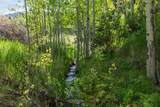 TBD Elk Run - Photo 7