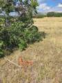 tbd Lone Cone Meadows Lane - Photo 14