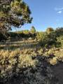 TBD Elam Ridge Drive - Photo 20