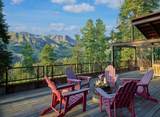 401 Larkspur Lane - Photo 4
