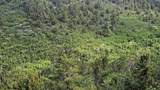 175 T-C Lane - Photo 1