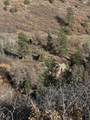 TBD Alder Canyon Road - Photo 20