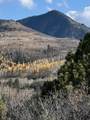 TBD Alder Canyon Road - Photo 23