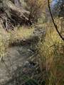 TBD Alder Canyon Road - Photo 38