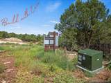 TBD Pine Drive - Photo 12