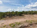 TBD Pine Drive - Photo 21
