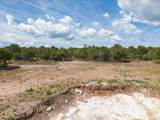 TBD Pine Drive - Photo 22