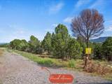 TBD Pine Drive - Photo 8