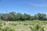TBD Sunnyside Road - Photo 10