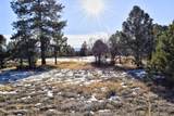 1627 Marmot Drive - Photo 10