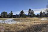 1627 Marmot Drive - Photo 6