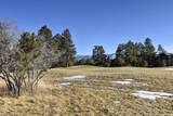 1627 Marmot Drive - Photo 7